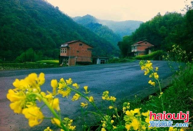 多虧鄉(xiāng)下婆婆來照顧兒媳，才知道家具甲醛超標兒子決定搬家啦.jpg