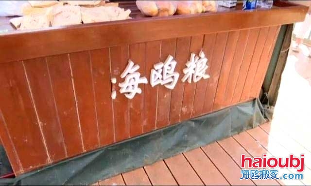 昆明海鷗搬家稱一老板返鄉(xiāng)探病，留下鷗糧供游客投喂結果出乎意料.jpg